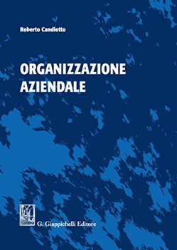 organizzazione aziendale ediz illustrata