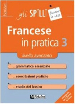 francese in pratica 3 (spilli) intermedio