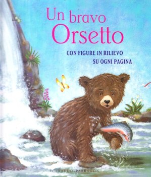 bravo orsetto