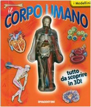 corpo umano