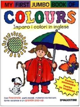 my first jumbo book of colours