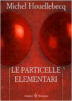 particelle elementari