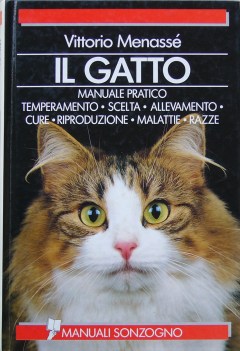 gatto