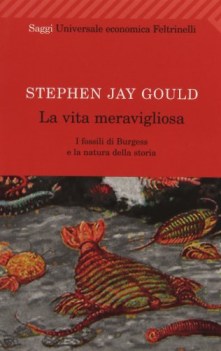vita meravigliosa