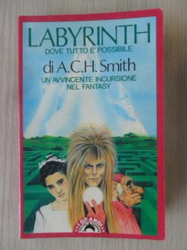 labyrinth dove tutto  possibile