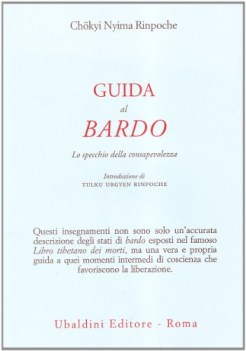 guida al bardo lo specchio della consapevolezza