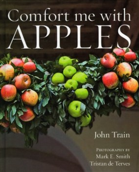 comfort me with apples