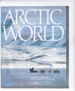 the arctic world