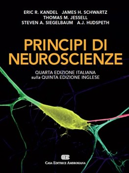 principi di neuroscienza