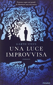 luce improvvisa
