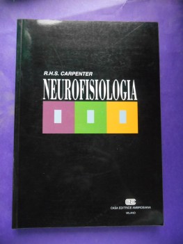 neurofisiologia
