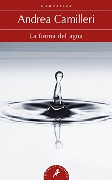 forma del agua