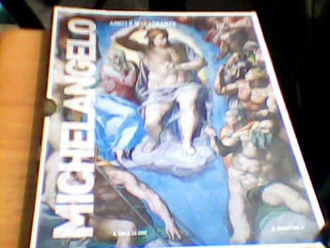 michelangelo amici e maestranze