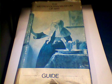 the metropolitan museum of art - la guida MOMA