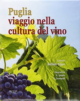 puglia e basilicata viaggio nella cultura del vino