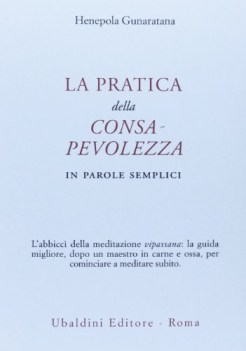 pratica della consapevolezza in parole semplici
