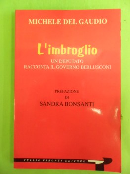 imbroglio. deputato racconta il governo berlusconi