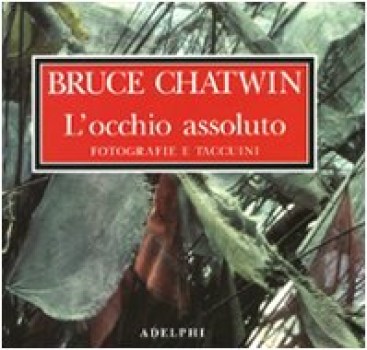 occhio assoluto fotografie e taccuini