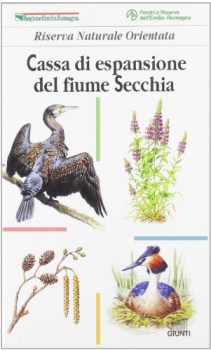cassa di espansione del fiume secchia