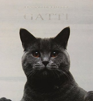 hanno detto dei gatti