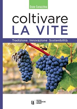 coltivare la vite tradizione innovazione sostenibilit