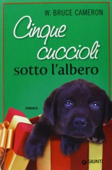 cinque cuccioli sotto lalbero