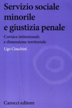 servizio sociale minorile e giustizia penale cornice istituzionale e