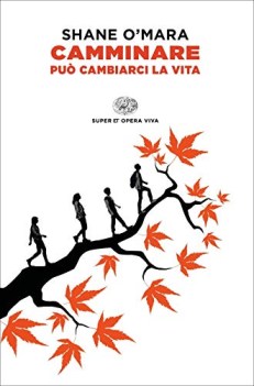 camminare pu cambiarci la vita