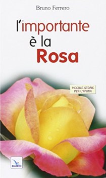 importante e la rosa