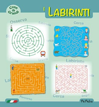 Labirinti cose da grandi ediz illustrata