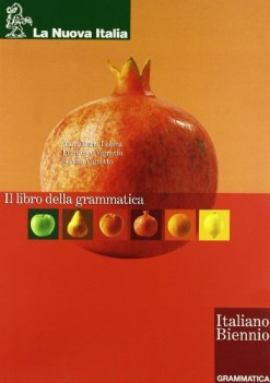 libro della grammatica, italiano biennio