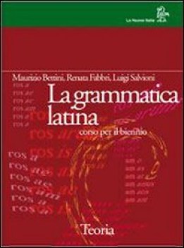 grammatica latina, teoria