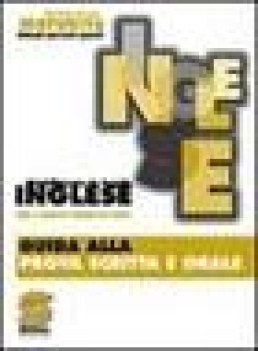 inglese, quaderni della maturia (525)