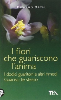 fiori che guariscono l\'anima