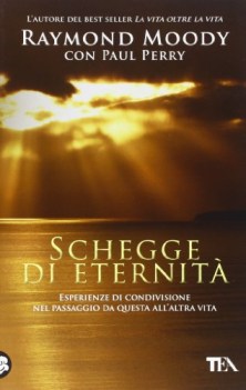 schegge di eternit