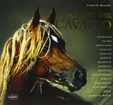 fascino del cavallo
