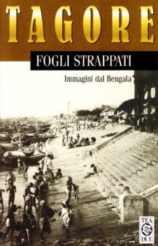 fogli strappati