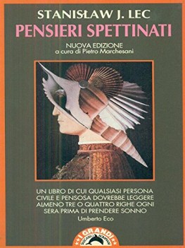 pensieri spettinati