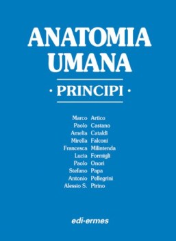 anatomia umana principi