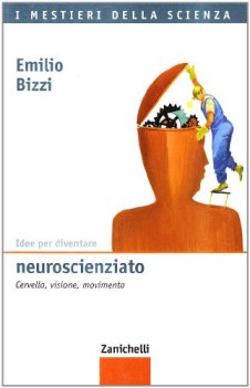 idee per diventare neuroscienziato  cervello visione movimento