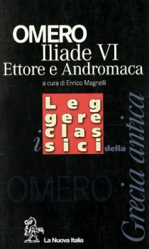 iliade  libro vi