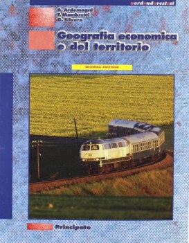 geografia economica e del territorio ne06
