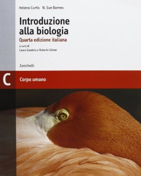 introduzione alla biologia C corpo umano