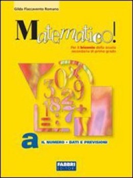 matematico  a+b+portfolio+informatica ve09