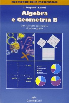 nel mondo della mat ALG+GEOM+solidi
