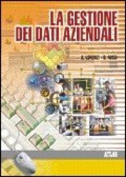 gestione dei dati aziendali ve07