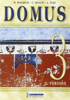 domus 3, periodo fc10