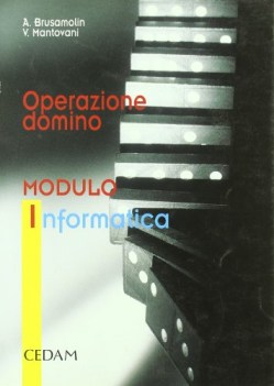 operazione domino modulo I informatica
