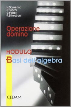 operazione domino modulo B algebra