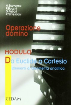 operazione domino modulo D analitica geometria